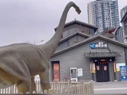 -恐龙探索乐园(磁器口店)