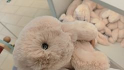 -国际蓝孩BabyInternational(杭州嘉里中心店)