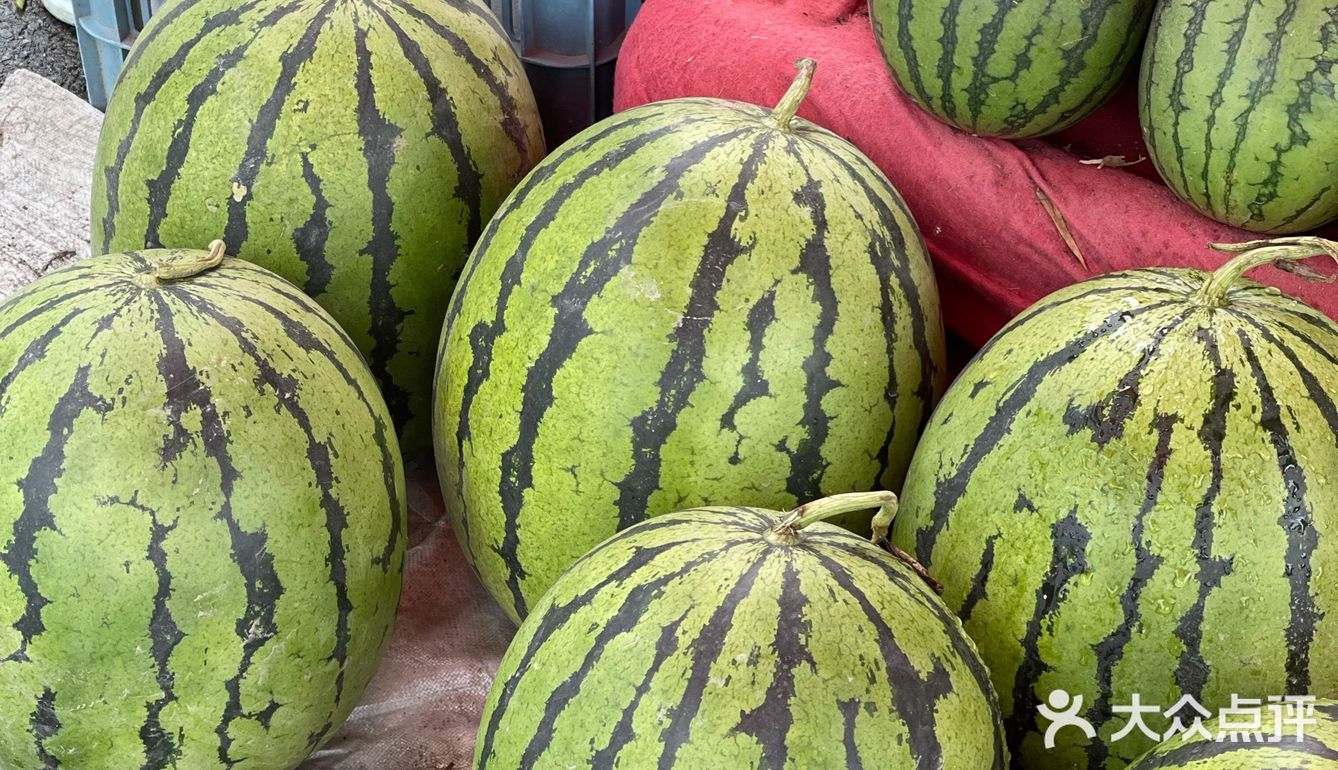 今年夏天最好吃的西瓜🍉｜庞各庄买西瓜🍉新发现