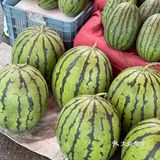 今年夏天最好吃的西瓜🍉｜庞各庄买西瓜🍉新发现