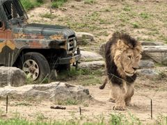 -北京野生动物园