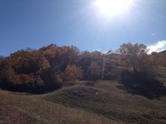 -塞罕坝国家级自然保护区