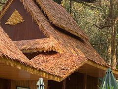-野象谷景区