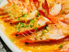 -新白鹿餐厅(松江开元地中海店)