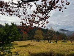-塔川景区