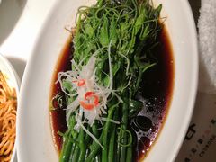 -初蓉丨遇见新川菜(亲贤街荣耀店)