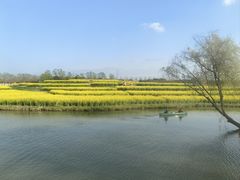 -乌村