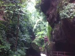 -赤水丹霞旅游区·佛光岩
