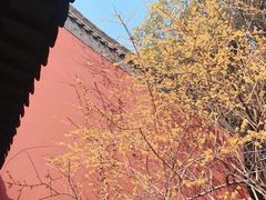 -钱王祠