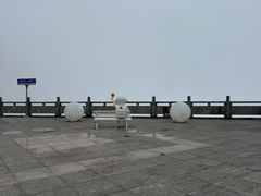 -大围山国家森林公园
