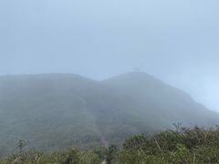 -大围山国家森林公园