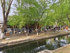 -春风习习