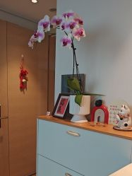 -慢脚印孕产中心(园区国金店)