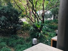 -星巴克(人民公园店)