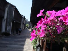 -乌镇西栅景区