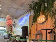 -芭厘·农庄老字号.电饭煲五指毛桃焗鸡