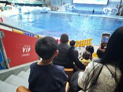 -海合安成都极地海洋公园