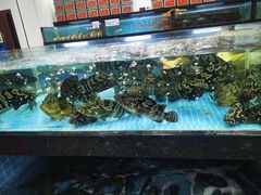 -马王堆海鲜水产市场
