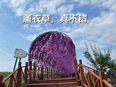 -草原天路(张北县)