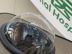 -爱侣宠医·鹦鹉专科·小型哺乳类·异宠专科(灵石路店)