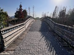 -田园东方蜜桃村的田野营地