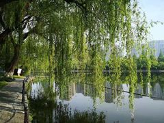 -浙江大学(玉泉校区)
