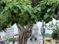 -安德鲁饼店(总店)