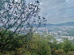 -火炉山森林公园