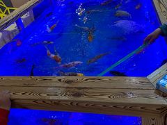 -天虹购物中心(石路店)