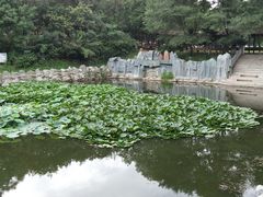 -高尔山公园