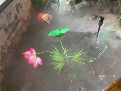 -山芋腔苏北菜(盐城滨海店)