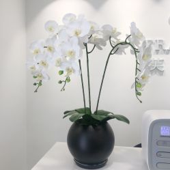 -芙芬芳·半永久纹眉（深圳旗舰店）