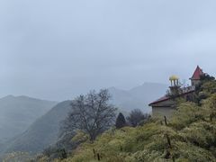 -莫干山风景区