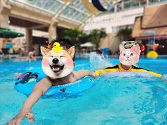-三岔湖环球融创天堂洲际酒店水乐园