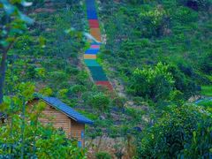 -九龙江国家森林公园