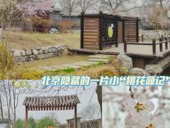 -三里河公园