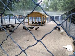 -长白岛森林公园