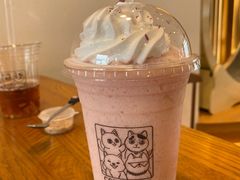 -猫小主咖啡·猫咖cat cafe(福田店)