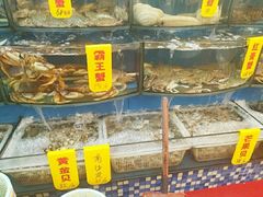 景观位-渔中舟海鲜大排档(普陀沈家门店)