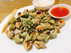 苦螺-记忠海鲜