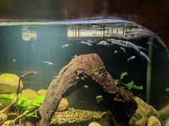 -太平洋海底世界