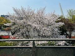 -IKEA宜家家居(南京商场)