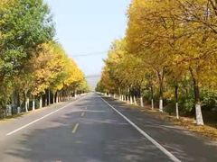 -五角枫生态旅游景区