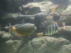 -苏州海洋馆