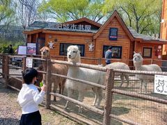 -禧宴Joyous Restaurant(禧园店)