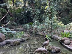 -广州兰圃