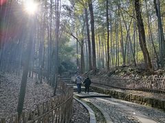 -杭州黄龙洞
