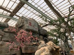 餐饮设施-北京莲花山滑雪场