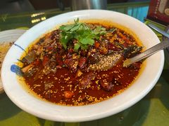 毛血旺-辛香汇(飞洲店)