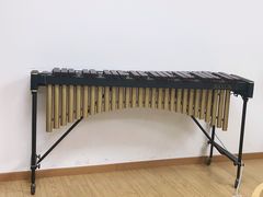 -音歆国艺馆·民乐培训(双榆树店)